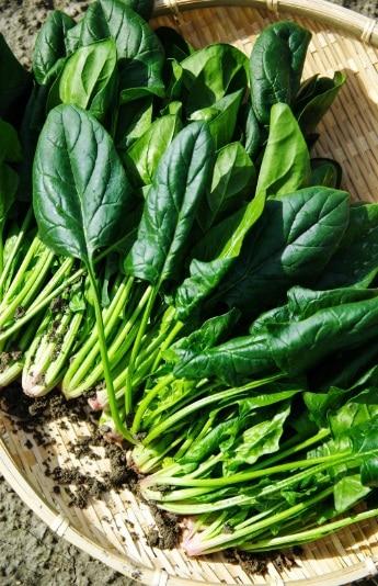 Adrien Thuin – Guérisseur – Soin spirituel