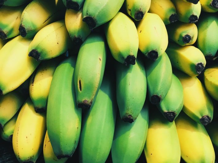 Adrien Thuin – Guérisseur – Soin spirituel