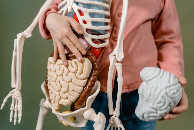 Adrien Thuin – Guérisseur – Soin spirituel