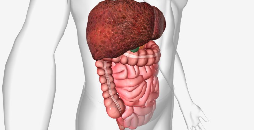 Adrien Thuin – Guérisseur – Soin spirituel