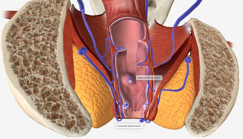 Adrien Thuin – Guérisseur – Soin spirituel