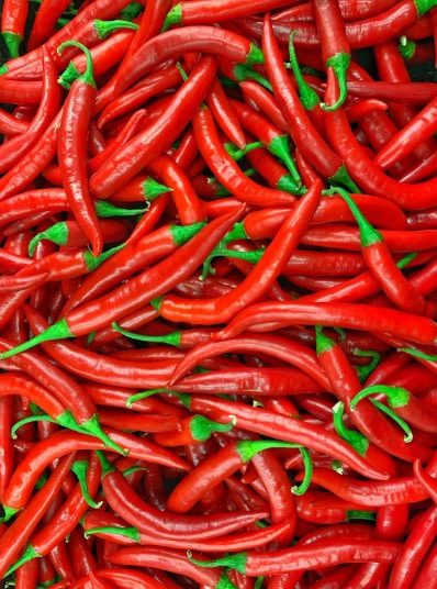 Adrien Thuin – Guérisseur – Soin spirituel