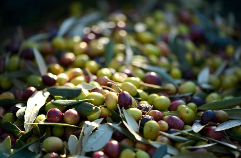 Adrien Thuin – Healing – Spiritual care