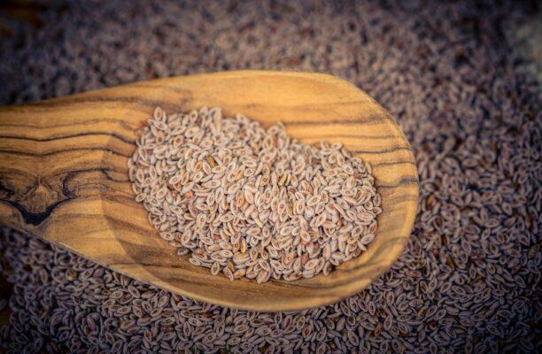 psyllium
