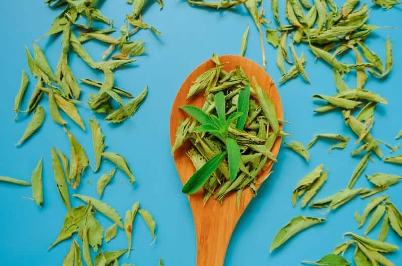 stevia