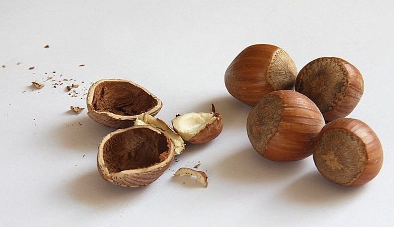 Adrien Thuin – Guérisseur – Soin spirituel