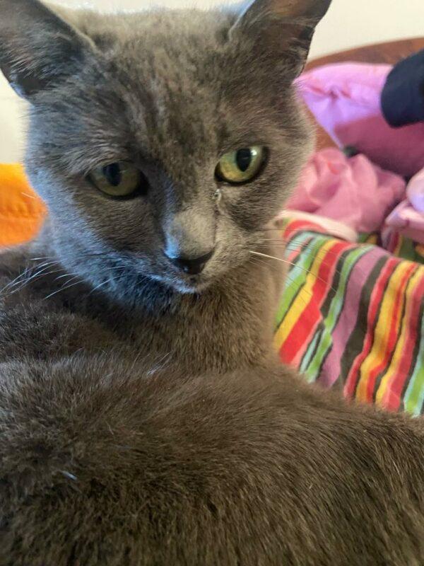 Adrien Thuin – Guérisseur – Soin spirituel