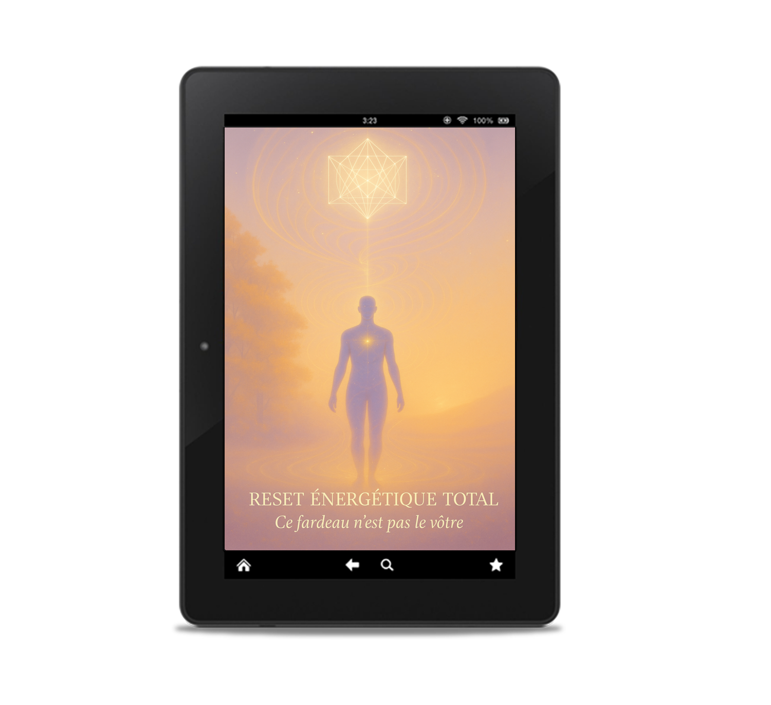 RET-cover1 webp reset energetique total