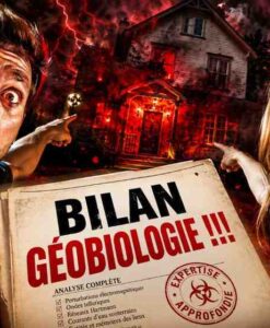Bilan Géobiologie Énergétique : Révélez le Potentiel du Lieu